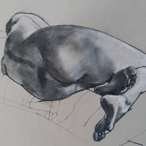 3 Day Summer School - Drawing & Painting from Life with Eileen Healy - MTU Crawford College of Art & Design, Sharman Crawford Street, T12 XK25 