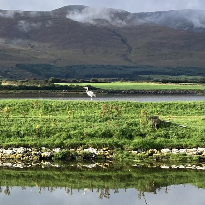Kerry Biodiversity Conference - An Cuan Building, MTU North Campus, Tralee, Co.Kerry