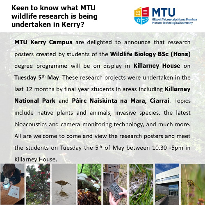 Wildlife Biology 4th Year Research Poster Event - Killarney House, Kenmare Place, Killarney, Co Kerry V93 YW9D