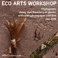 Eco Arts workshops Phytogram - CCAD, 46 Grand Parade, Cork